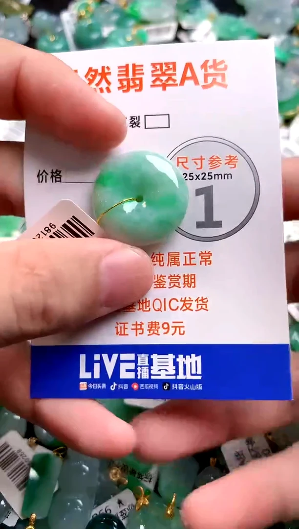 颈饰未镶嵌翡翠0432622015