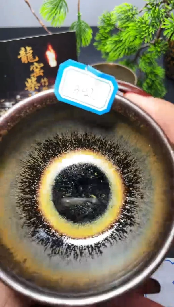 茶盏302叶紫建盏