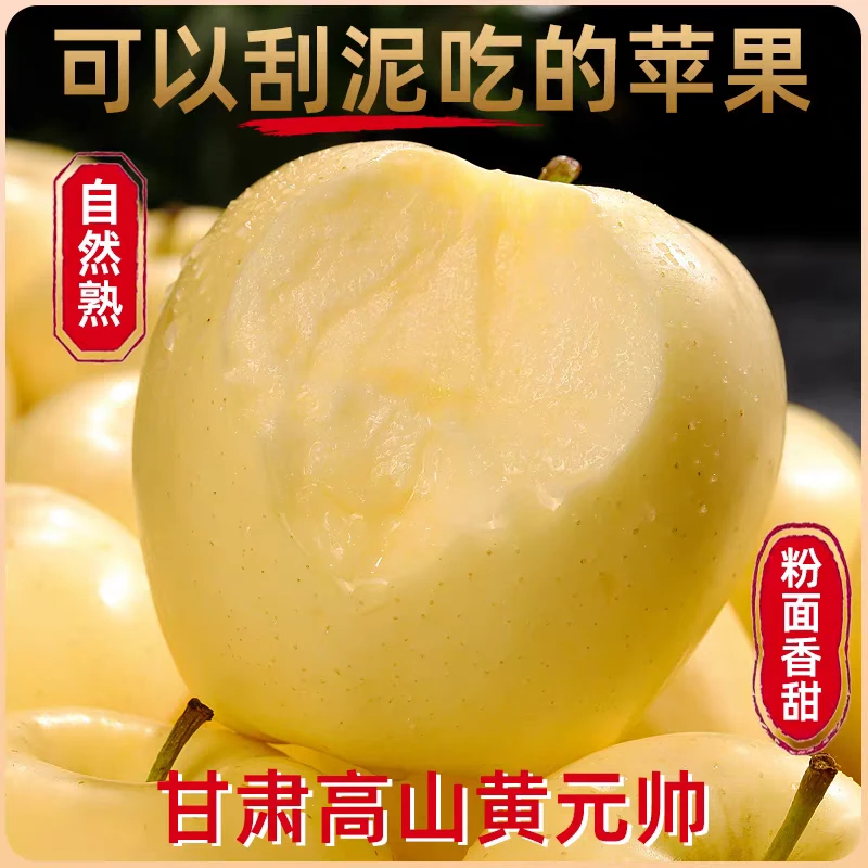 甘肃天水秦安，黄元帅苹果脆甜多汁当季新鲜水果，果园直发。