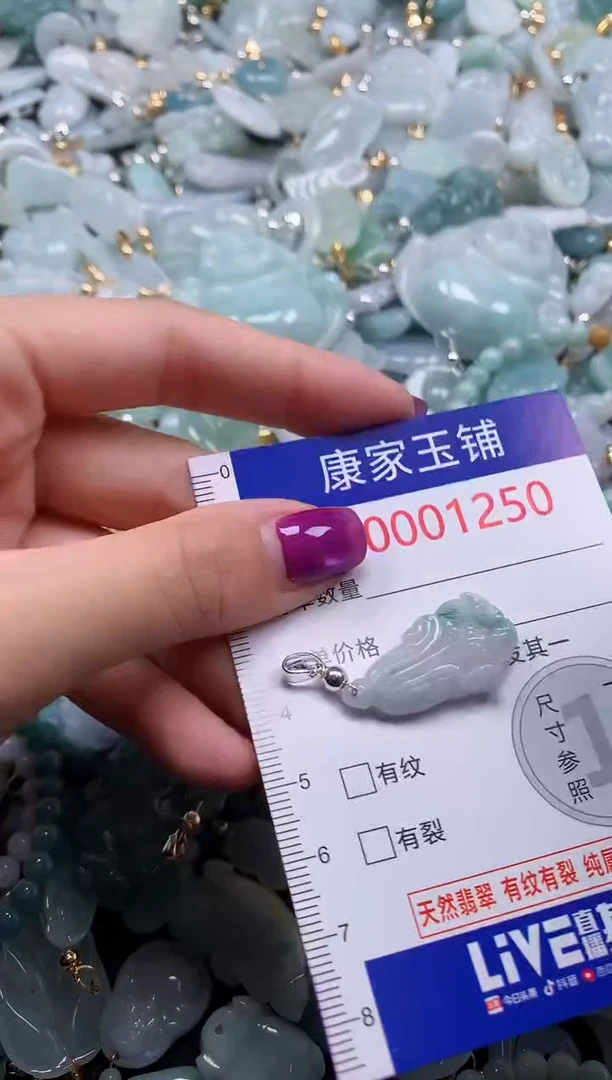 颈饰未镶嵌翡翠1250
