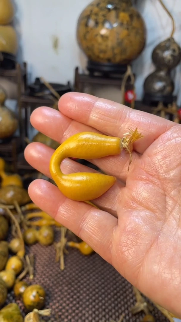 【闪购商品】葫芦葫芦葫芦葫芦葫芦