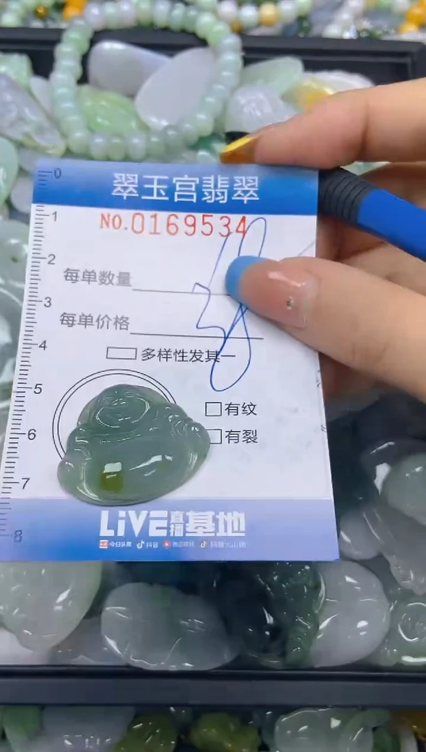 翡翠未镶嵌颈饰闪购0169534