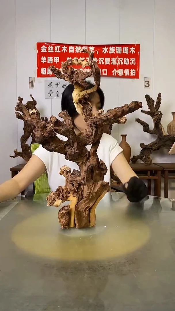 香榧木白*民金丝红木   羊蹄甲