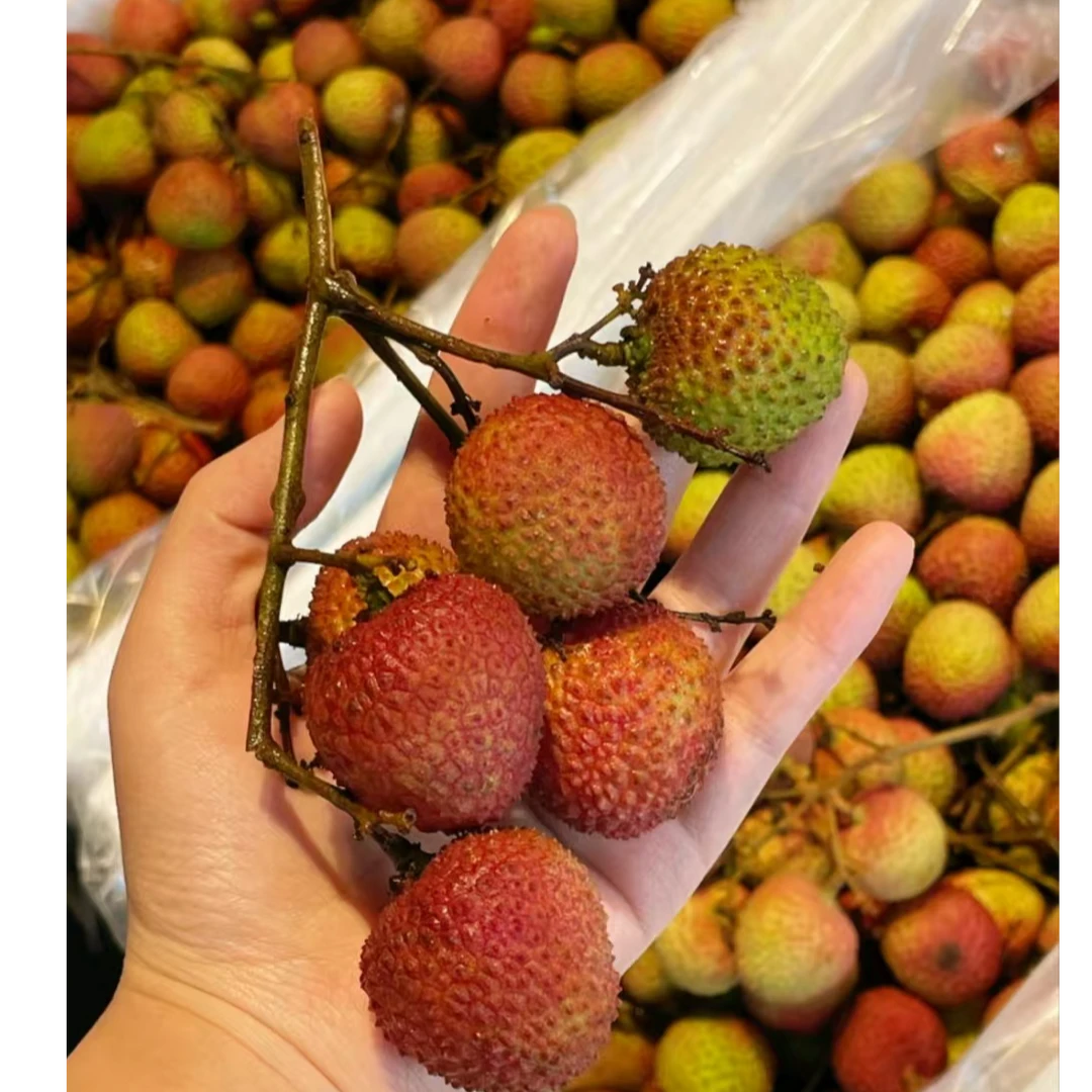 妃子笑荔枝，越南大荔枝2斤海南省