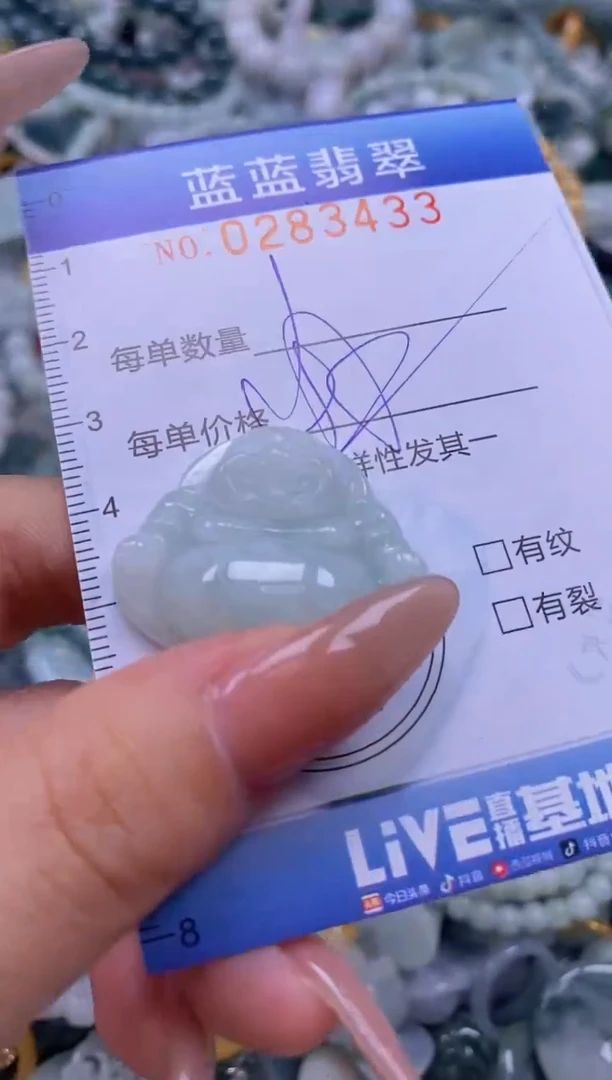 翡翠未镶嵌颈饰闪购0283433多样性发其一