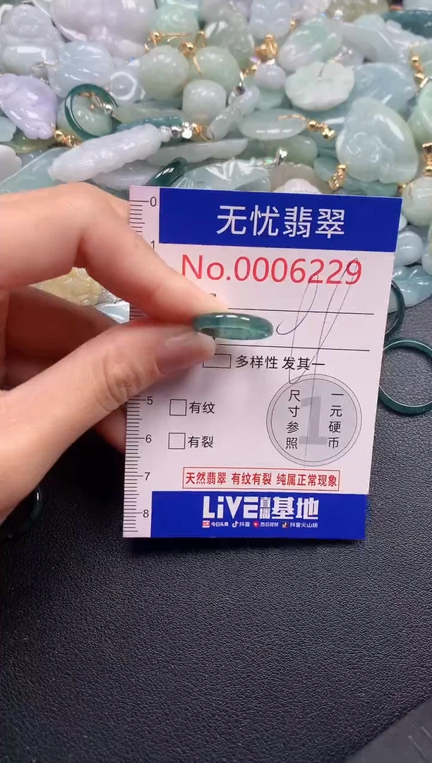 吊坠(不含链)未镶嵌翡翠6229