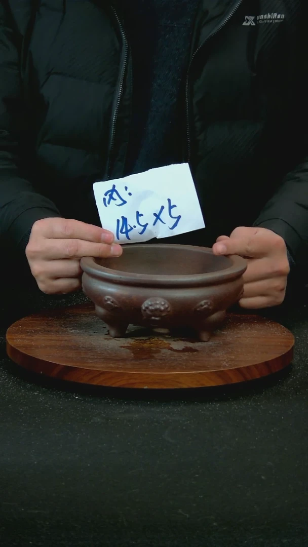 【闪购商品】紫砂W124