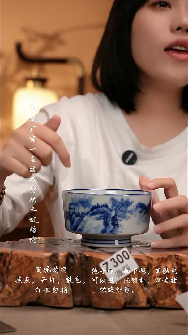 WZ300新十二器瓷器