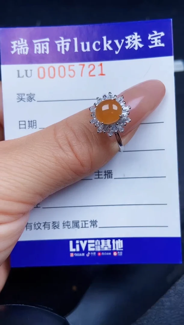 翡翠银S925镶嵌颈饰5721