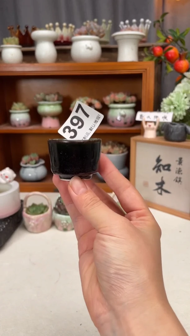 瓷片397知木小芳花盆