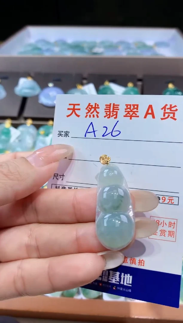 颈饰未镶嵌翡翠天然翡翠A货挂件