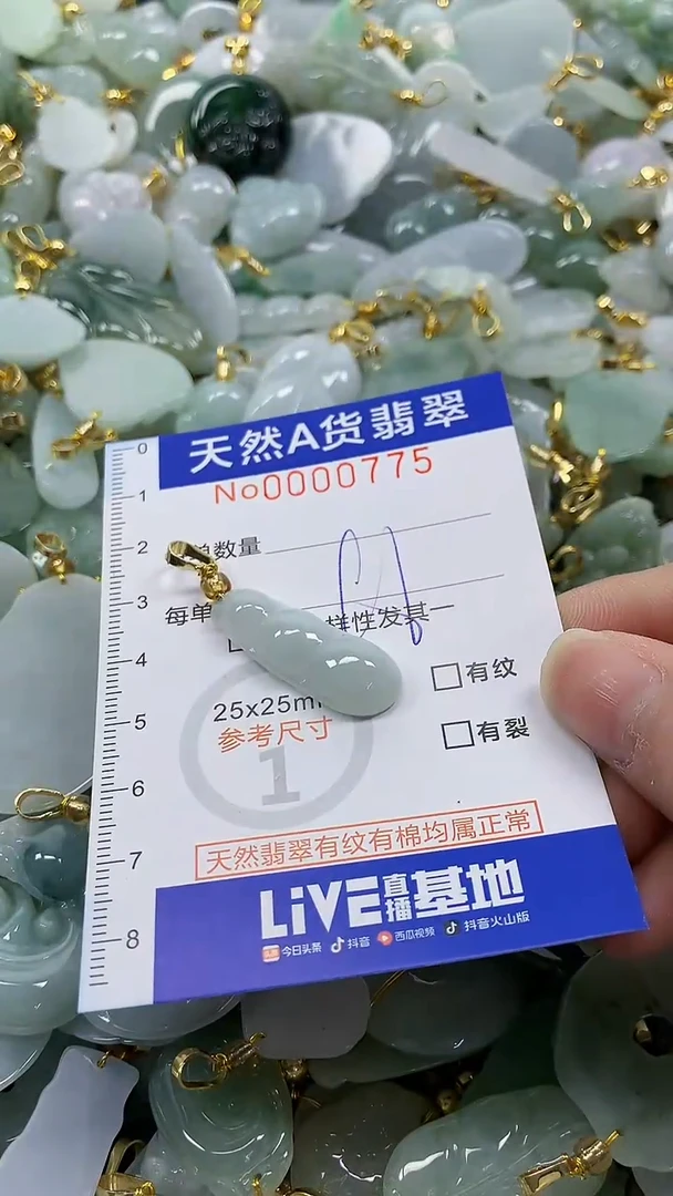 颈饰未镶嵌翡翠纯天然a货翡翠