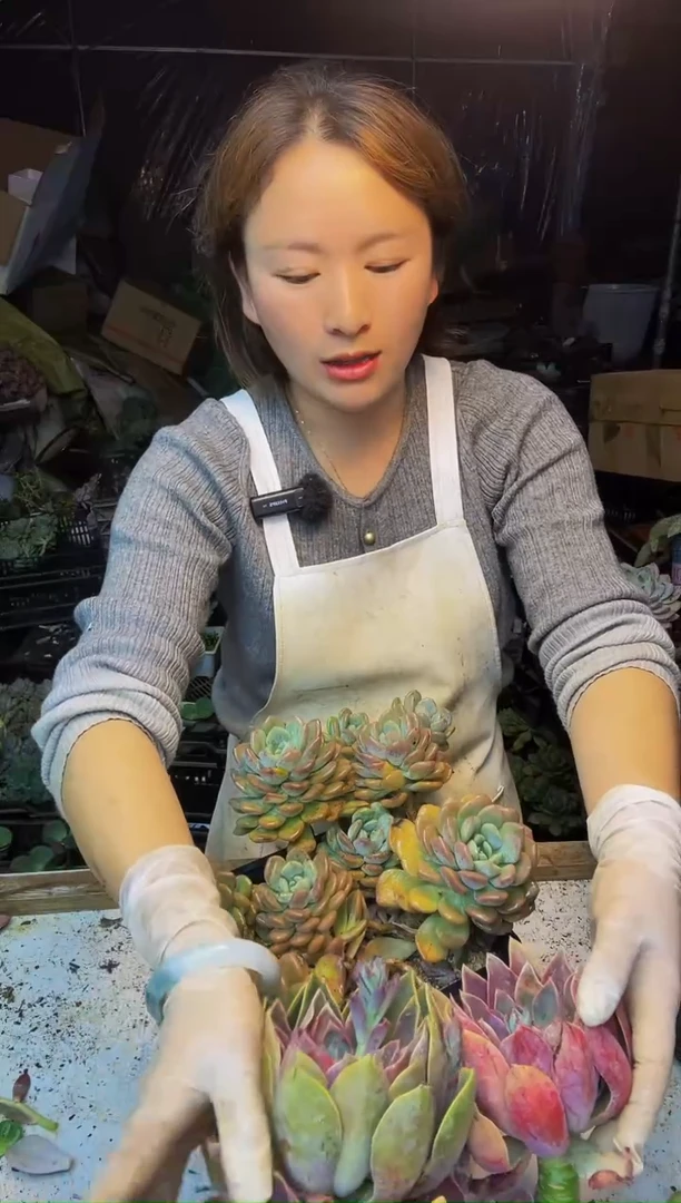 柯*124号一物一拍 默认微瑕不售后