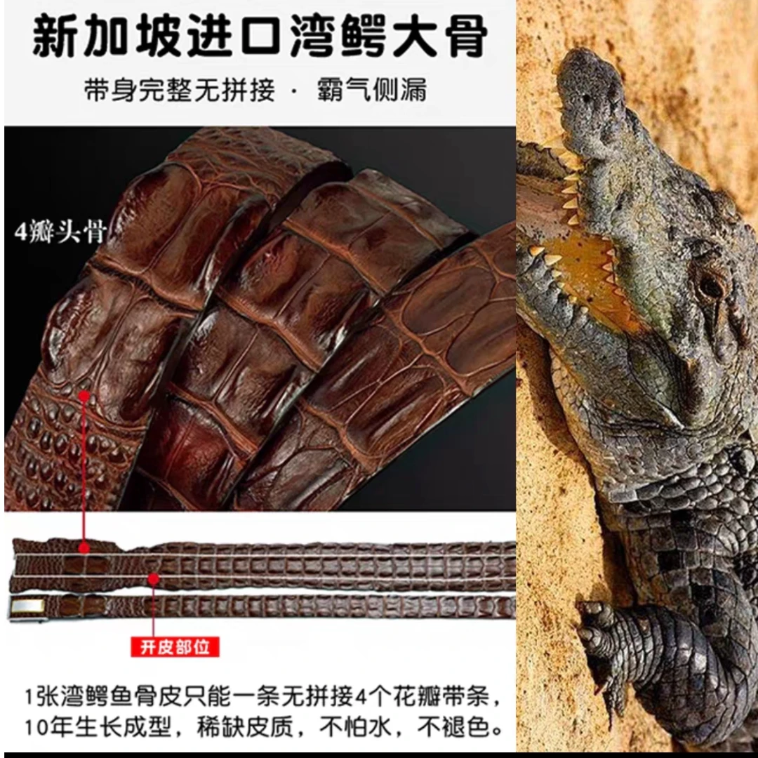 湾鳄鳄鱼皮四瓣骨龙骨男士皮带———成套一物一拍