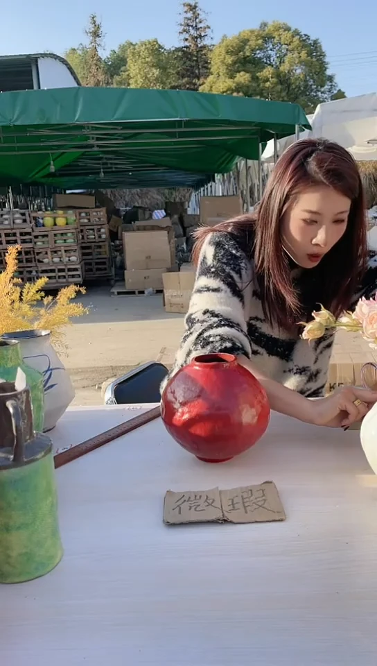 【闪购商品】陶瓷景德镇手工陶瓷微瑕介意勿拍