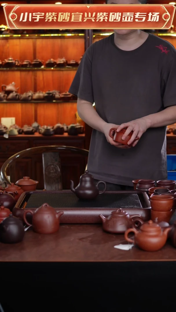 茶壶紫砂紫茄泥紫砂壶