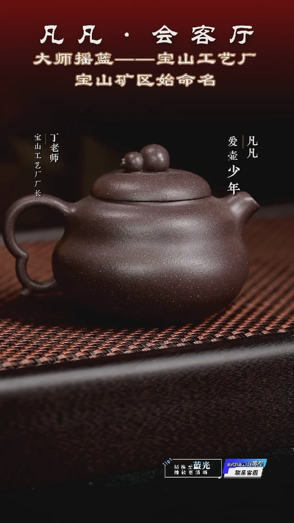 茶壶紫砂DL75 李倩 福荫共生天青150cc
