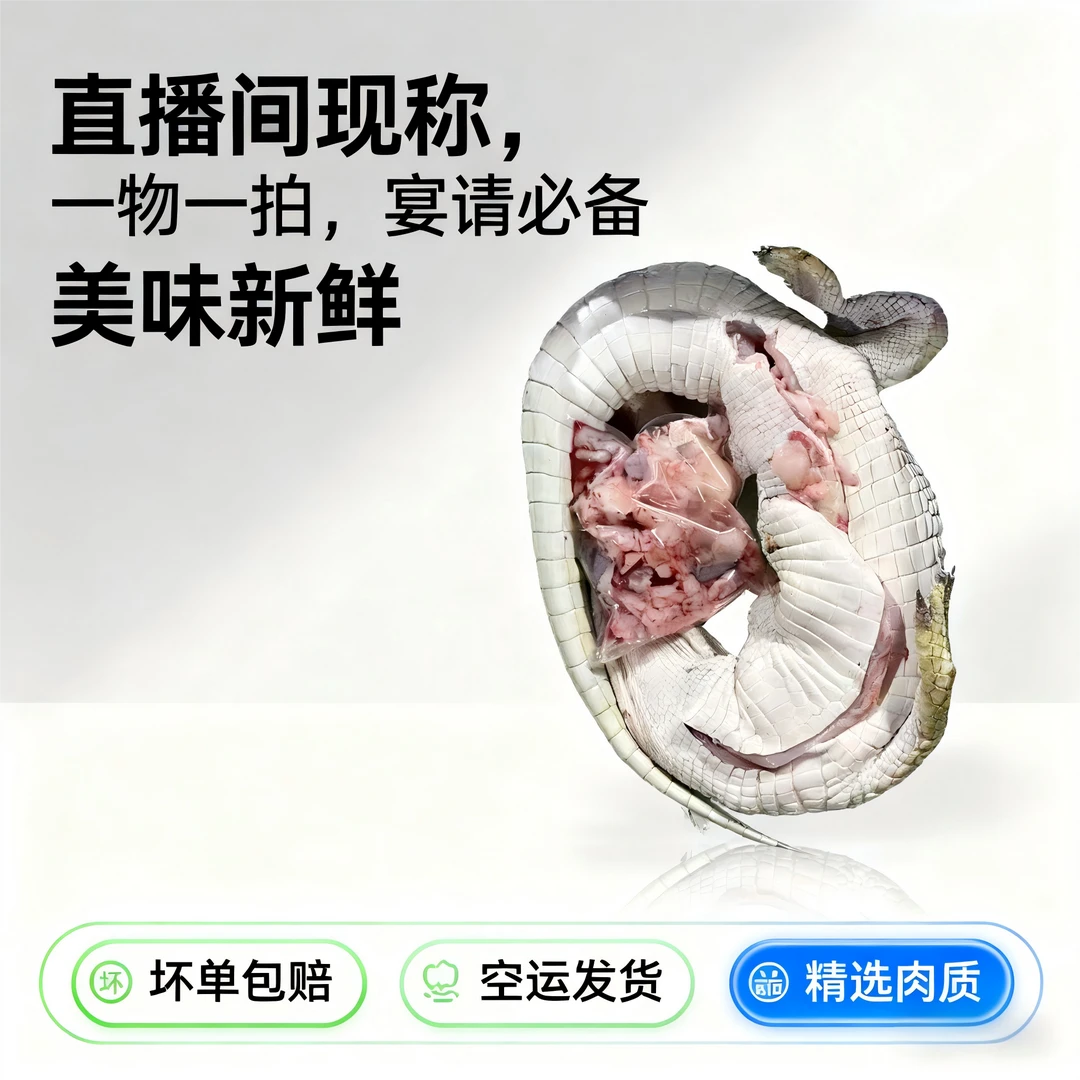 过节【直播间一物一拍】新鲜人工养鳄鱼胶质肥厚火锅红烧 软糯好吃
