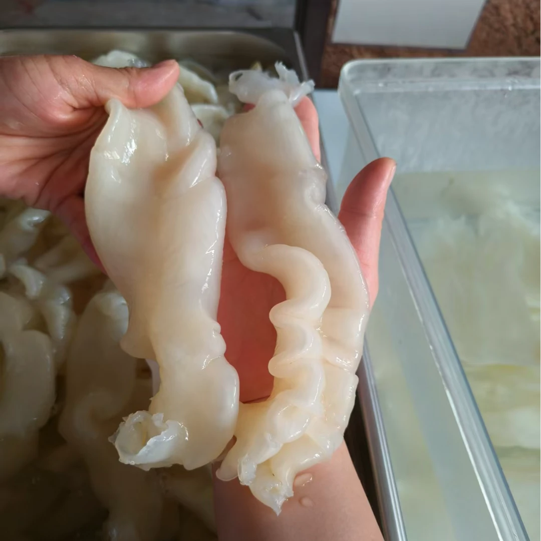 40头佐罗胶炖奶煲汤干货花胶