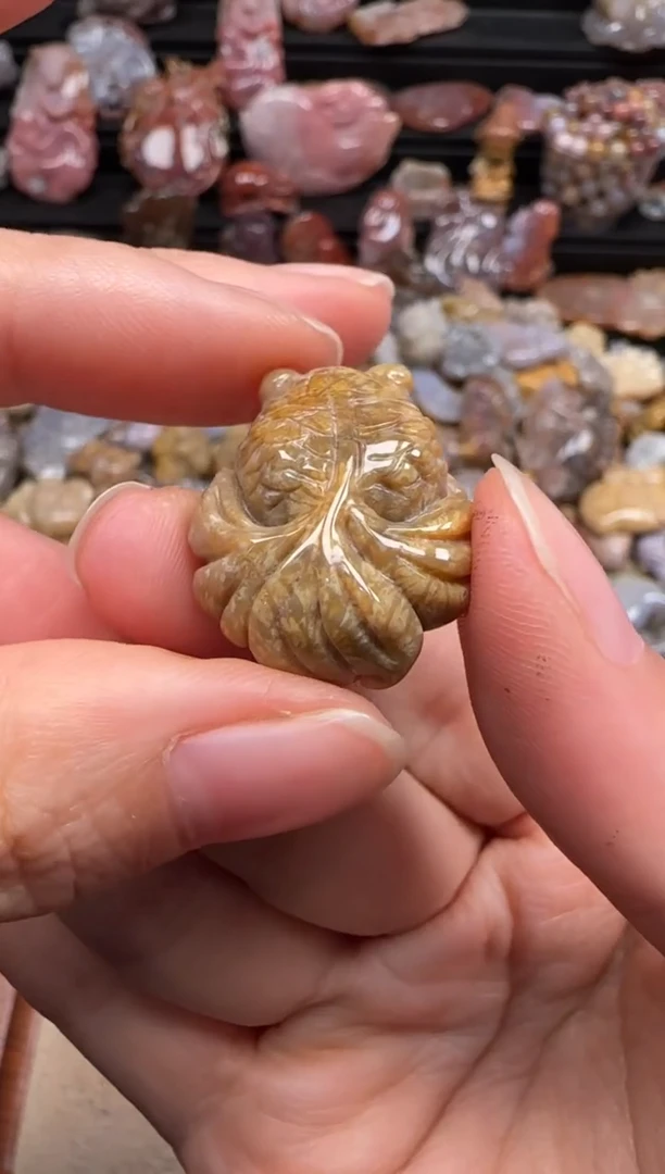 【闪购商品】硅化珊瑚（珊瑚玉）颈饰未镶嵌612