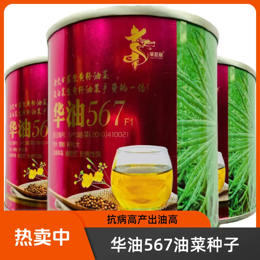 华油567油菜正品高产抗病抗倒伏粮油作物长虹油正宗四川油菜种子