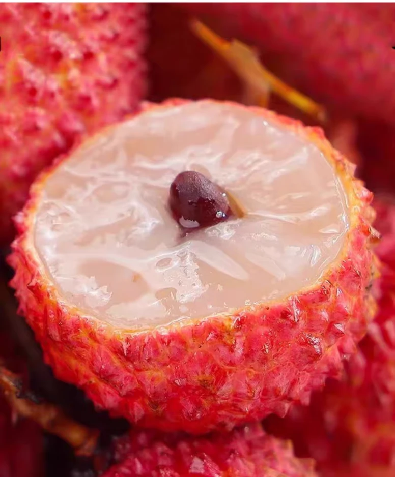 [广东省内]增城桂味荔枝顺丰新鲜空运现摘现发当季新鲜水果