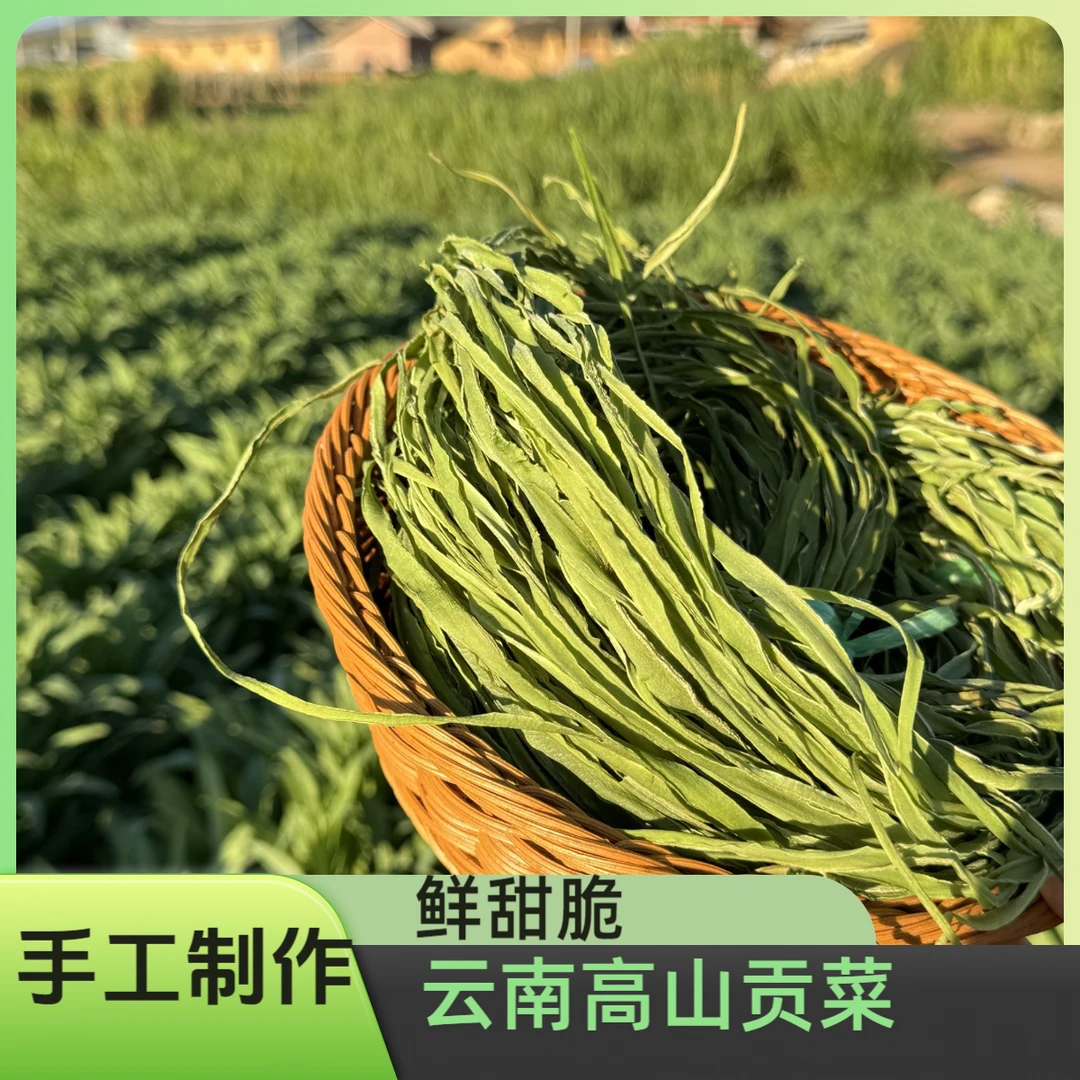 【云南高山贡菜】2025年一级新鲜贡菜生长环境好纯手工制作(鲜甜脆）