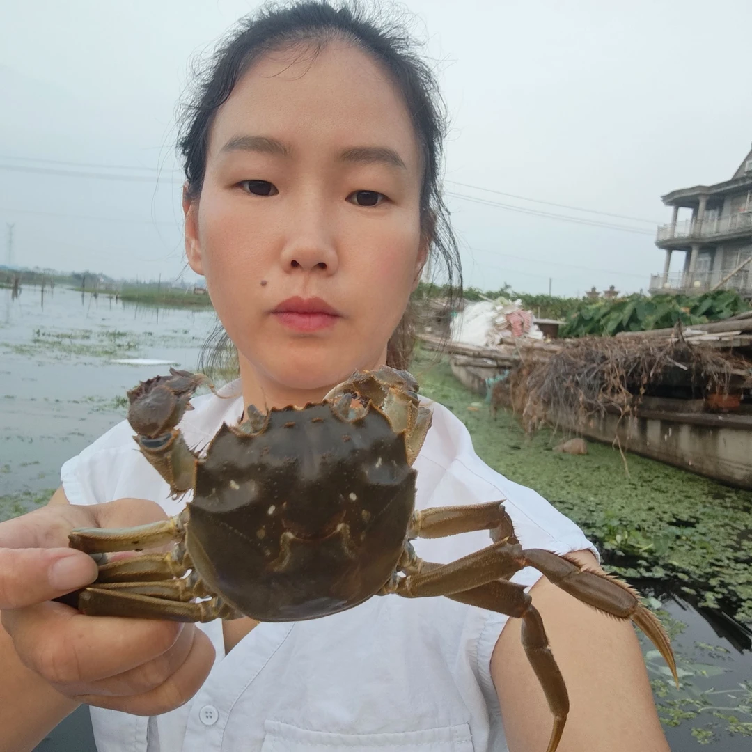 兴化大闸蟹九爪母蟹3两公蟹4两共10只装活蟹大闸蟹