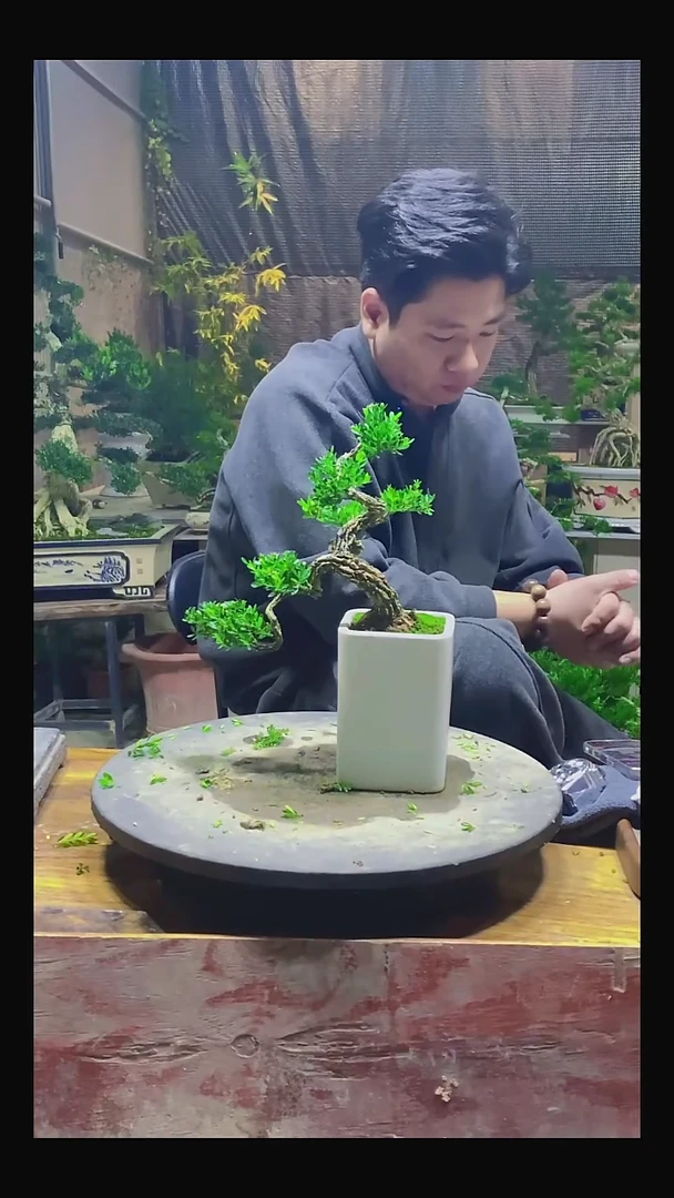 完全开放【****】000000