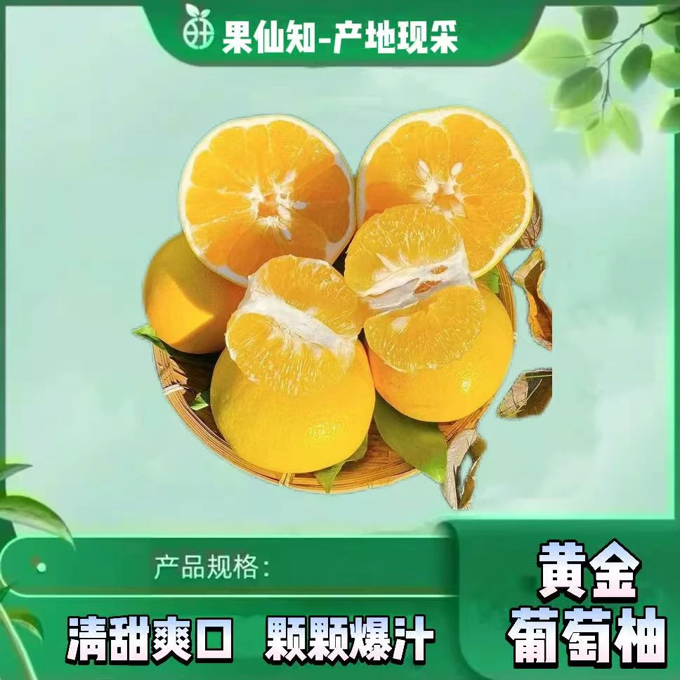 【哀牢山-黄金葡萄蜜柚-皮薄汁足-5颗】云南省