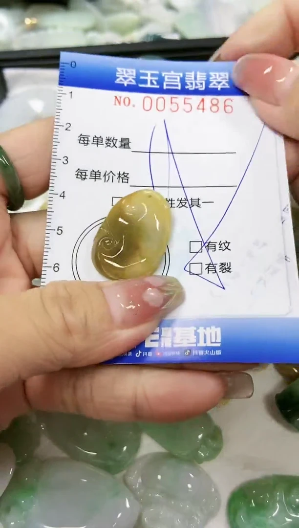 【闪购商品】翡翠颈饰未镶嵌闪购0055486