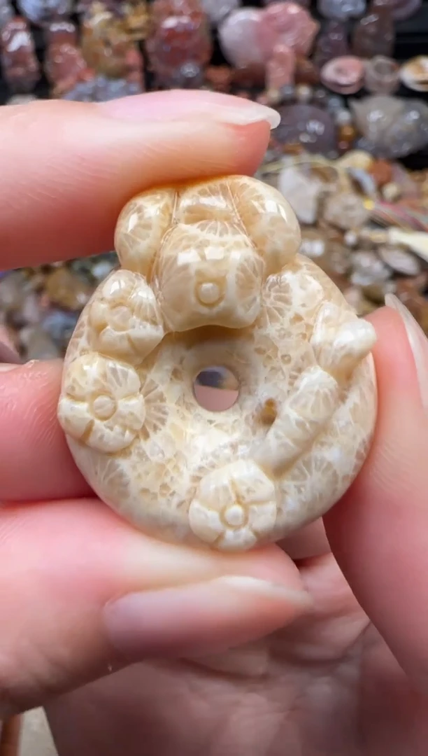 颈饰未镶嵌硅化珊瑚（珊瑚玉）020