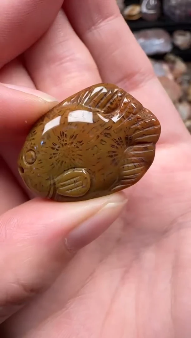 颈饰未镶嵌硅化珊瑚（珊瑚玉）155