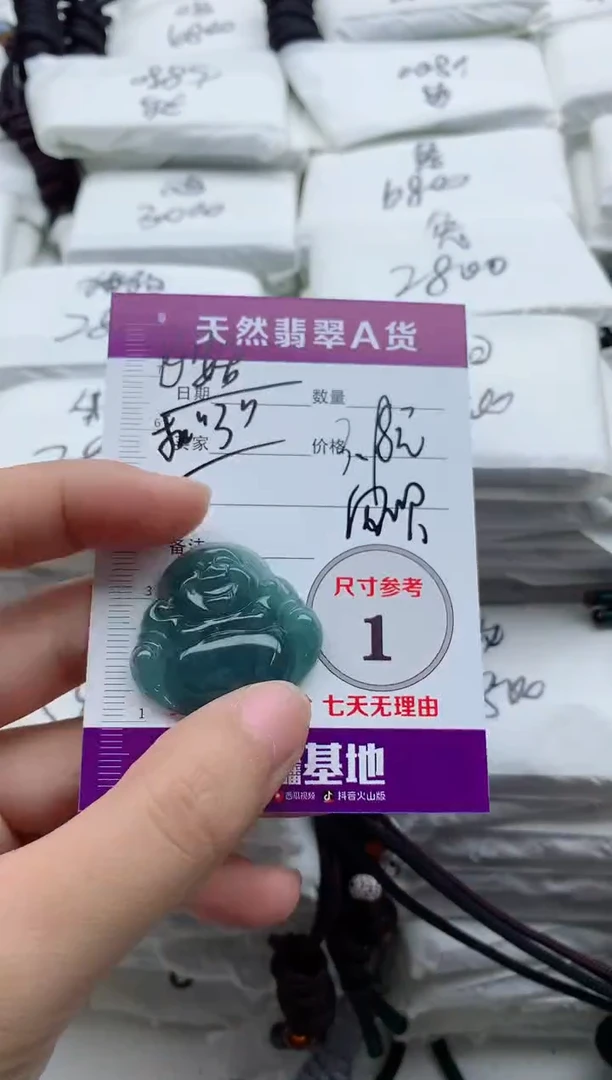 翡翠未镶嵌颈饰飞*8