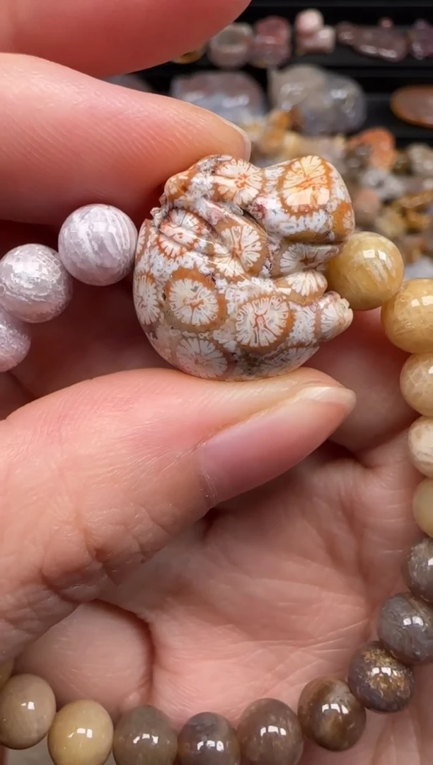 硅化珊瑚（珊瑚玉）未镶嵌颈饰899