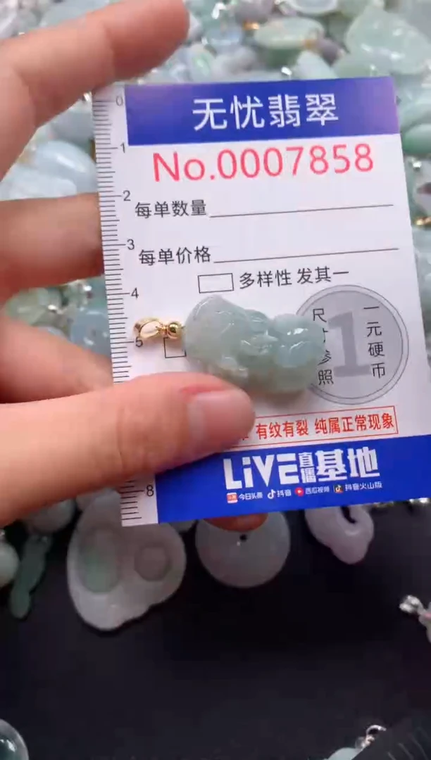 颈饰未镶嵌翡翠7858