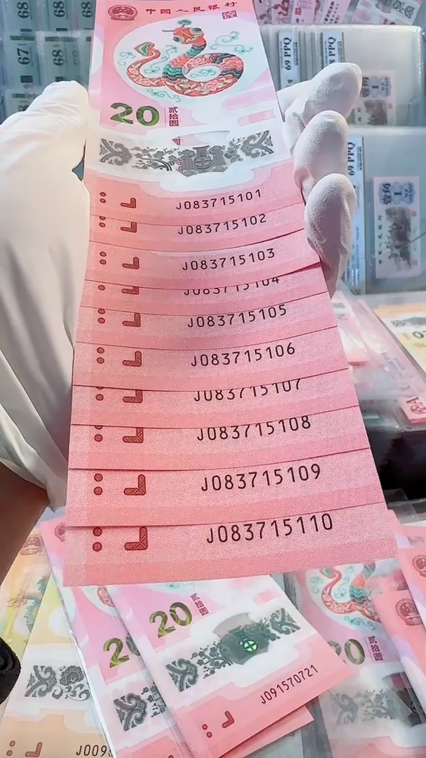 【闪购商品】纸蛇钞标十J083715101-10