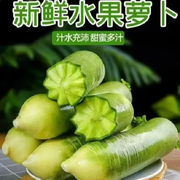 新鲜现拔水果萝卜脆甜多汁可生吃微辣带甜青萝卜天星2号9斤装