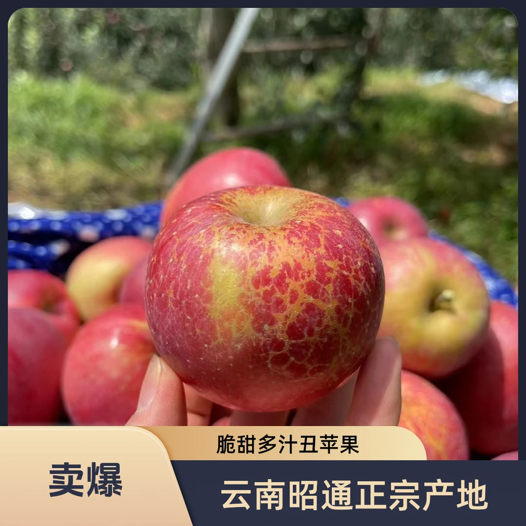 正宗云南昭通冰糖心丑苹果脆甜多汁整箱5/10斤坏果包赔