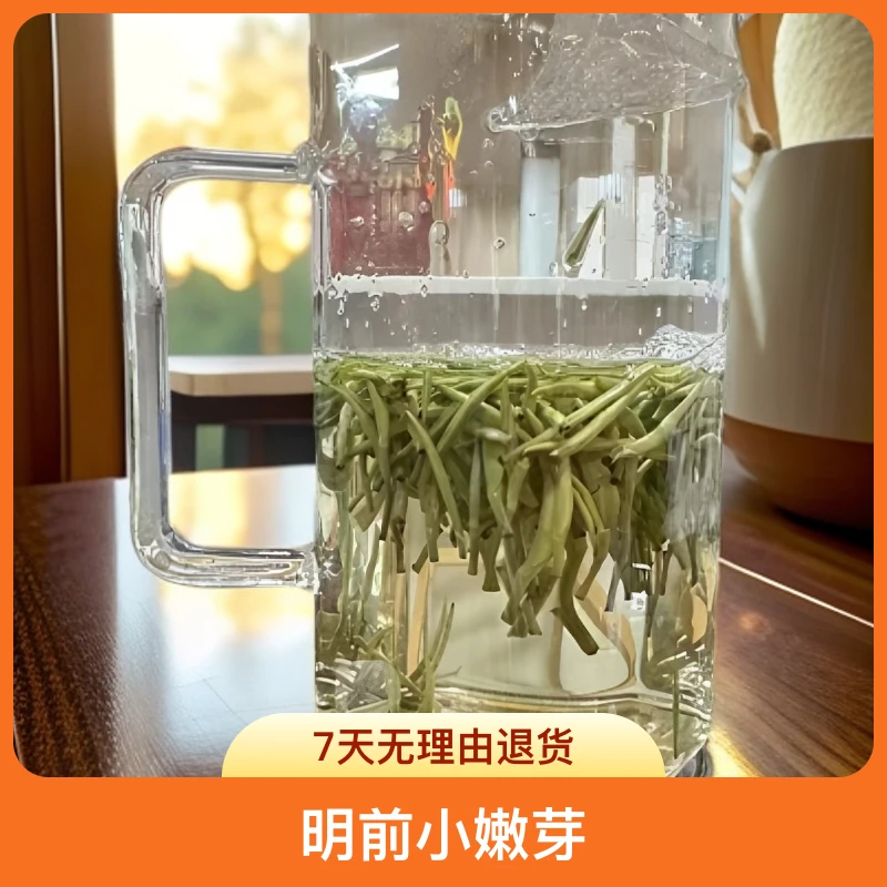 小芽兰妃 兰妃茶兰妃香踏雪