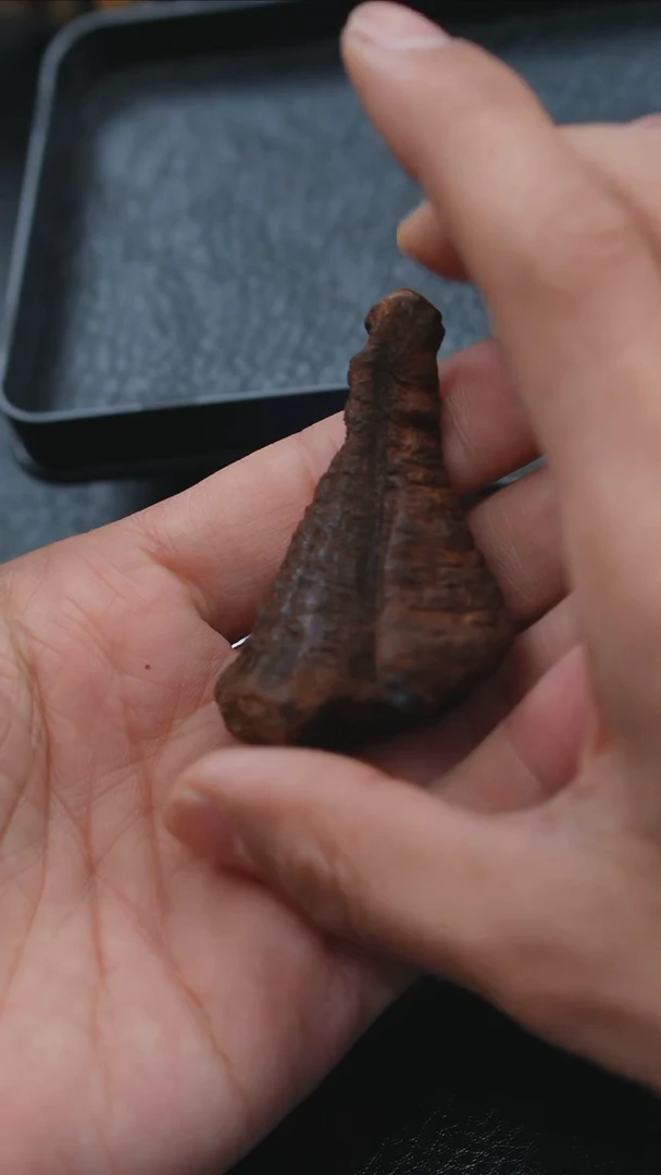 【闪购商品】沉香手把件越南富森红土14.8g