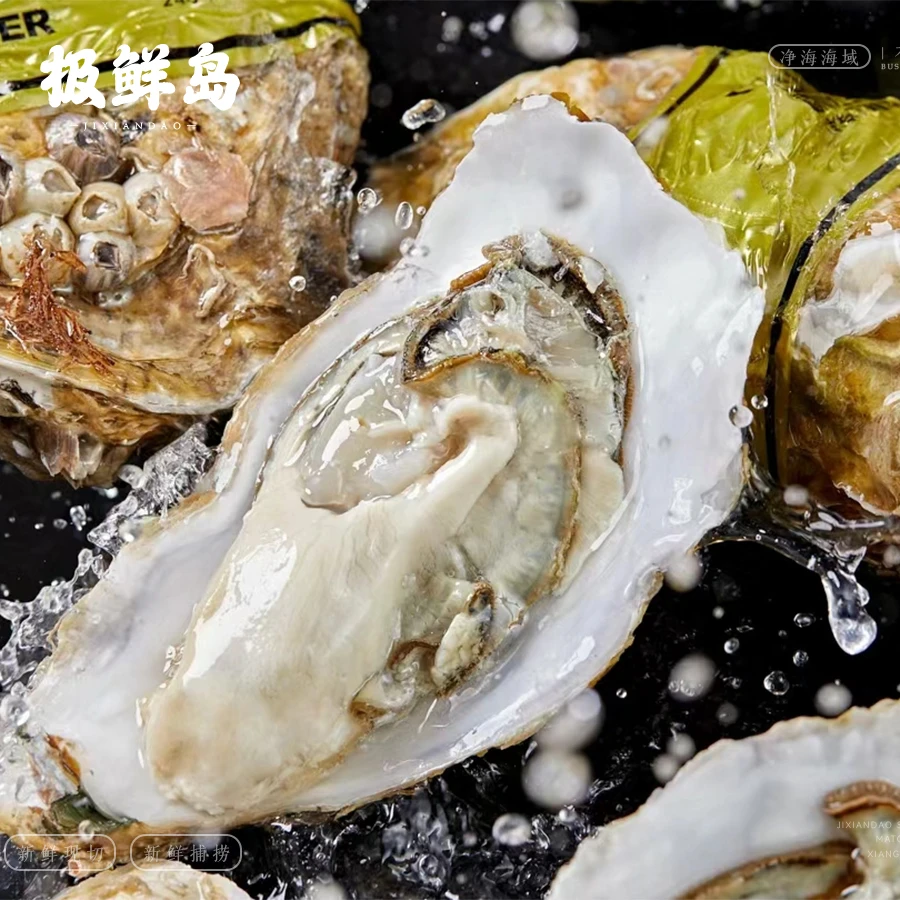 【鲜活】乳山生蚝 / 个