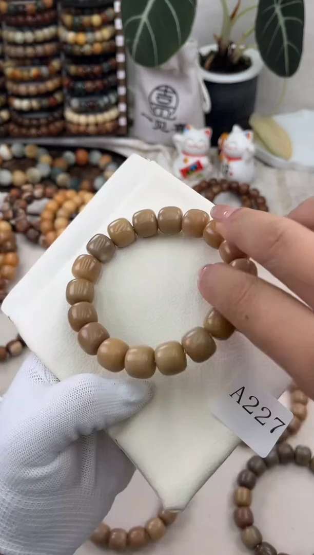 菩提根/象牙果手串a227卡13/14 干磨摩卡