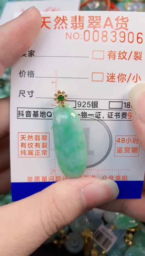 翡翠未镶嵌颈饰        1