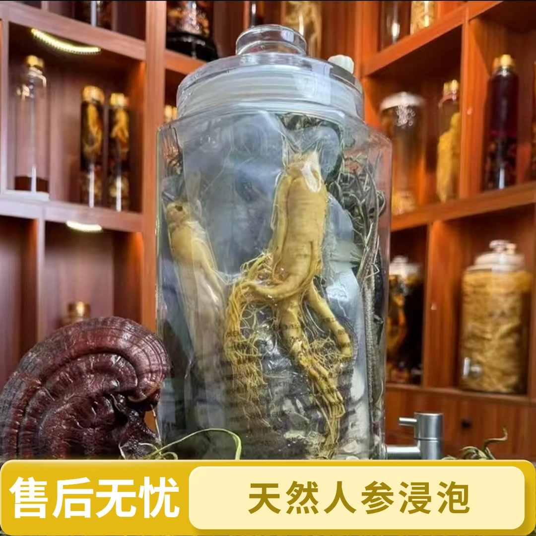 【至尊款】26味东北人参原材料 保真保纯 送20斤专业泡酒玻璃瓶