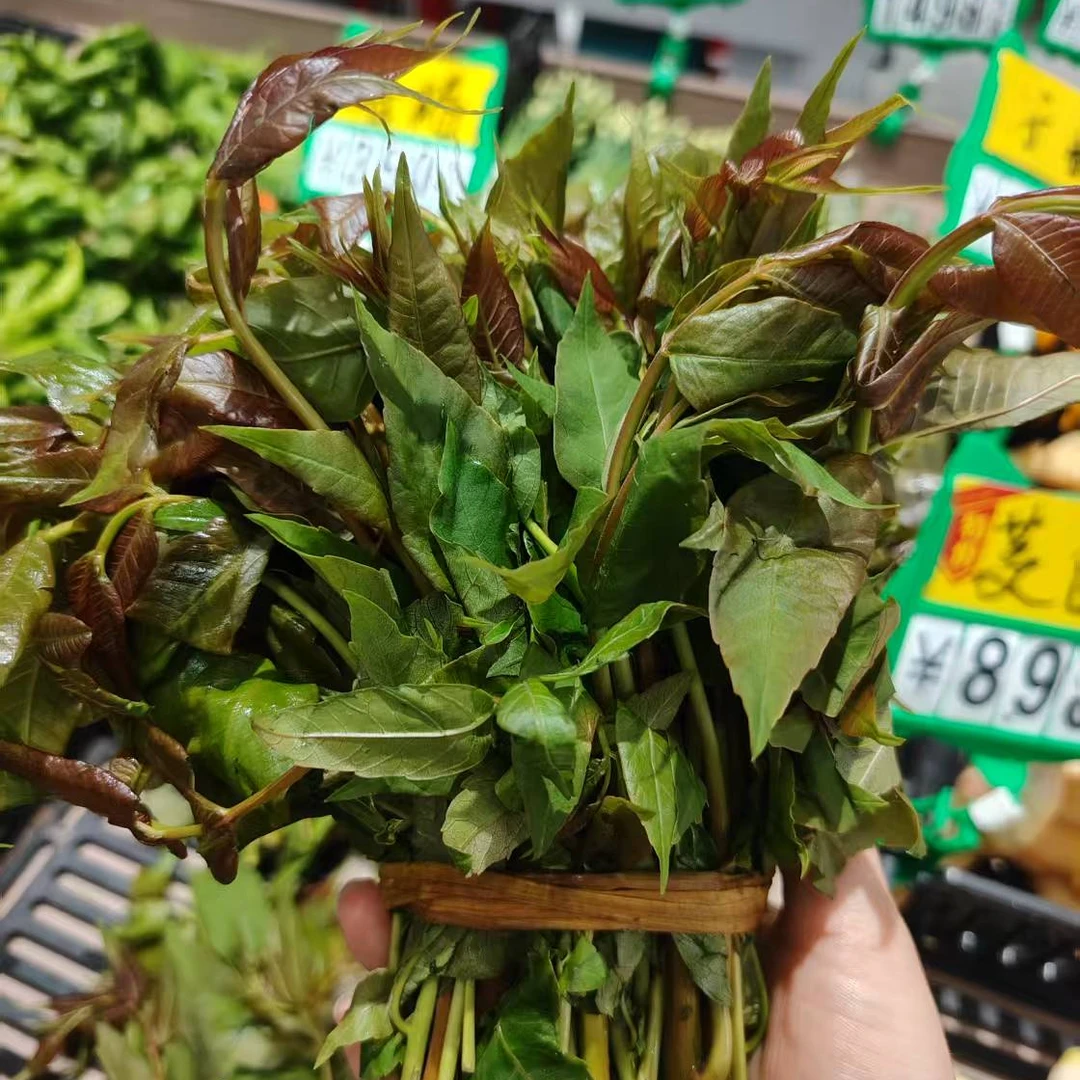 精品香椿/扎 约200-225g