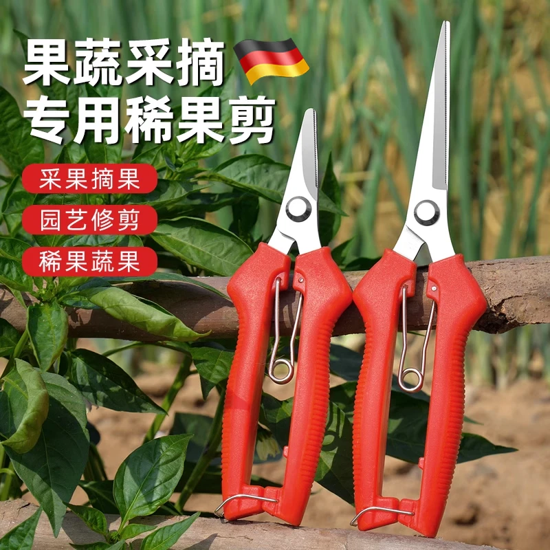 家用采果剪稀果剪葡萄疏花剪修花修枝剪柑橘子花椒采摘摘果剪刀