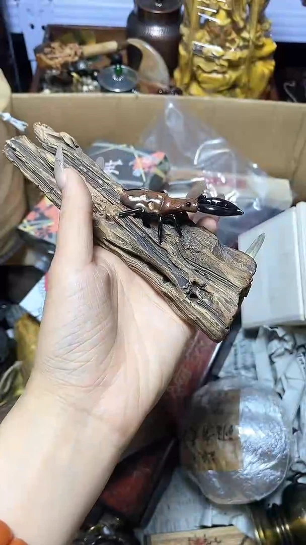 【闪购商品】瓷器瓷片瓷器瓷片