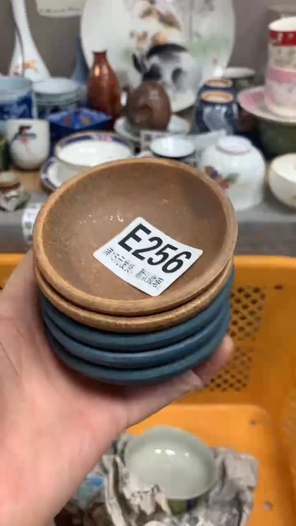 【闪购商品】瓷片256闪购类型 定向 木兰花