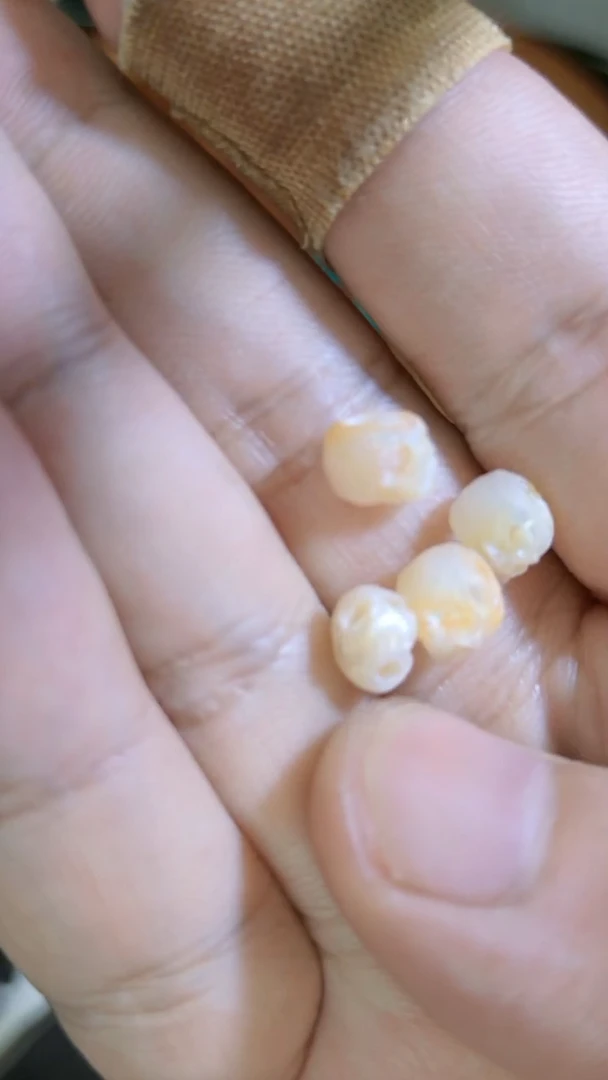 淡水珍珠未镶嵌颈饰91珍珠骷髅多样性发货伐其一